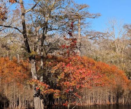 Dead River Landing Campground