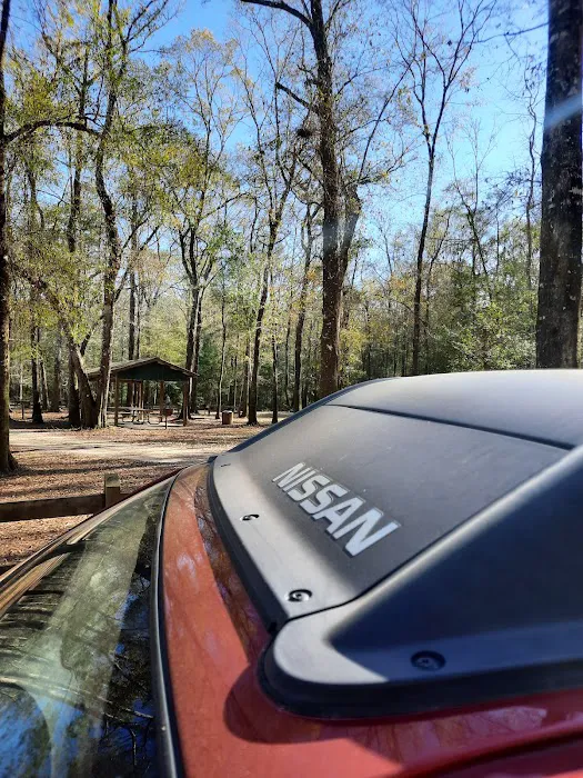 Dead River Landing Campground Picture 2