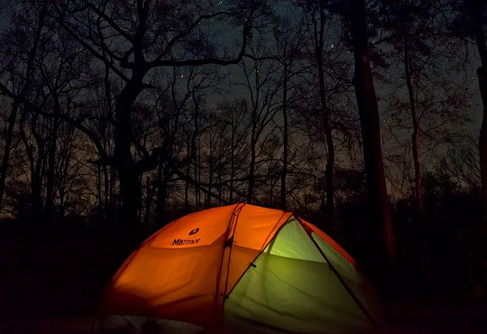 Dead River Landing Campground Picture 3
