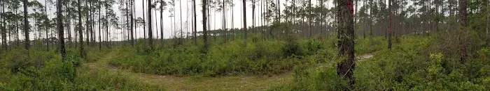 Pinelog State Park Youth Pavilion Picture 2