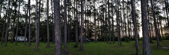 Pinelog State Park Youth Pavilion Picture 4