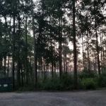 Pinelog State Park Youth Pavilion