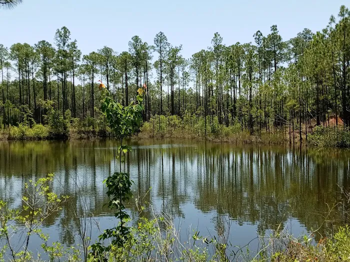 Sand Pond Campground Picture 7