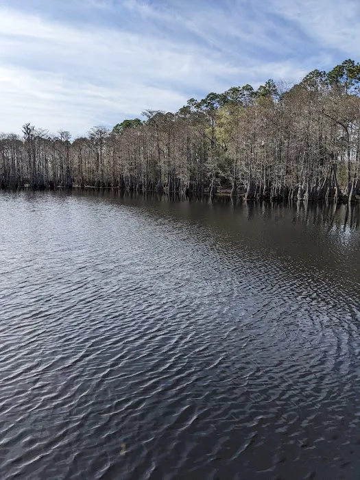 Sand Pond Campground Picture 3