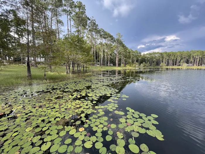 Sand Pond Campground Picture 6