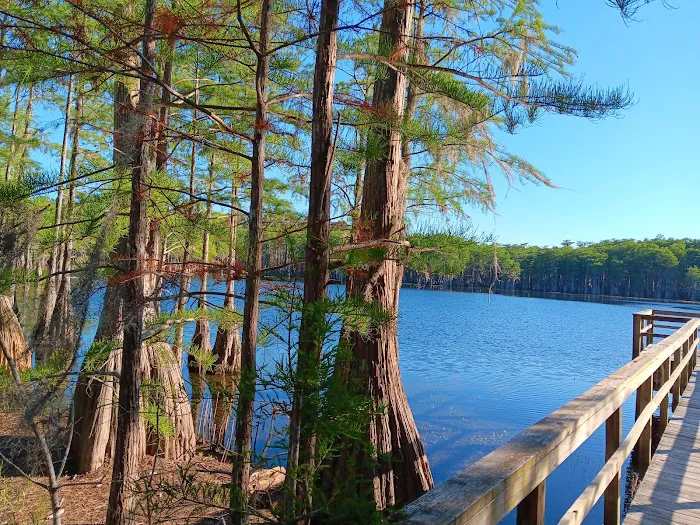 Sand Pond Campground Picture 9