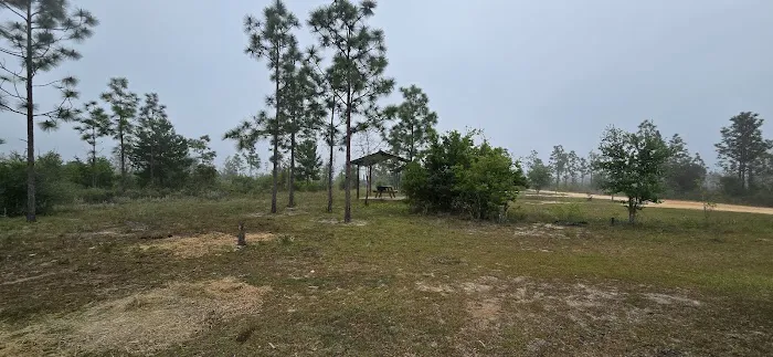 Wolf Pond North Picture 6