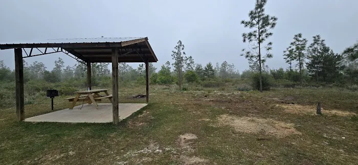 Wolf Pond North Picture 2