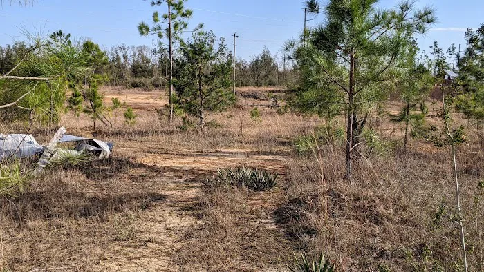 Private Wilderness Camp Picture 3