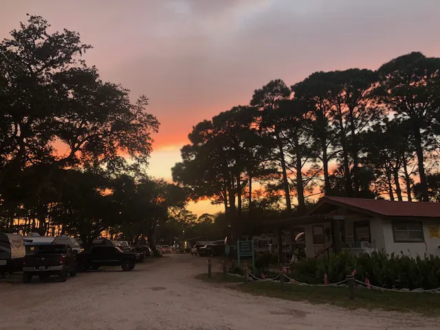 Holiday Campground on Ochlockonee Bay Picture 8