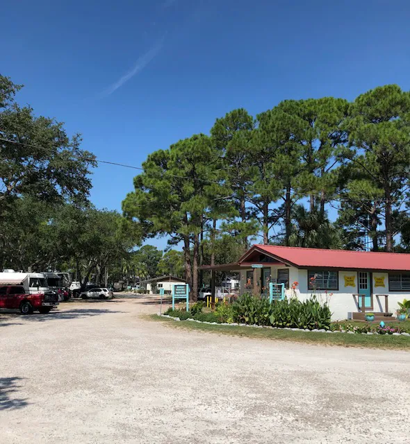 Holiday Campground on Ochlockonee Bay Picture 2
