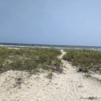 Alligator Point Access ico