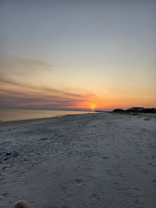 Alligator Point Access Picture 4