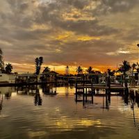 Pine Island Cove ico