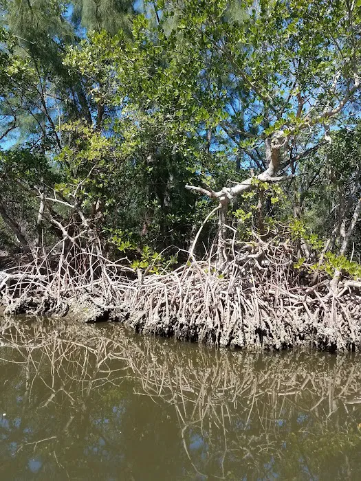 Pine Island Cove Picture 10