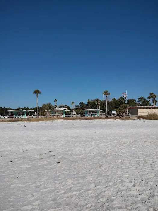 Carrabelle Beach RV Resort Picture 6