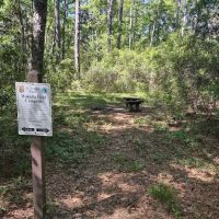 Wakulla Field Campsite ico
