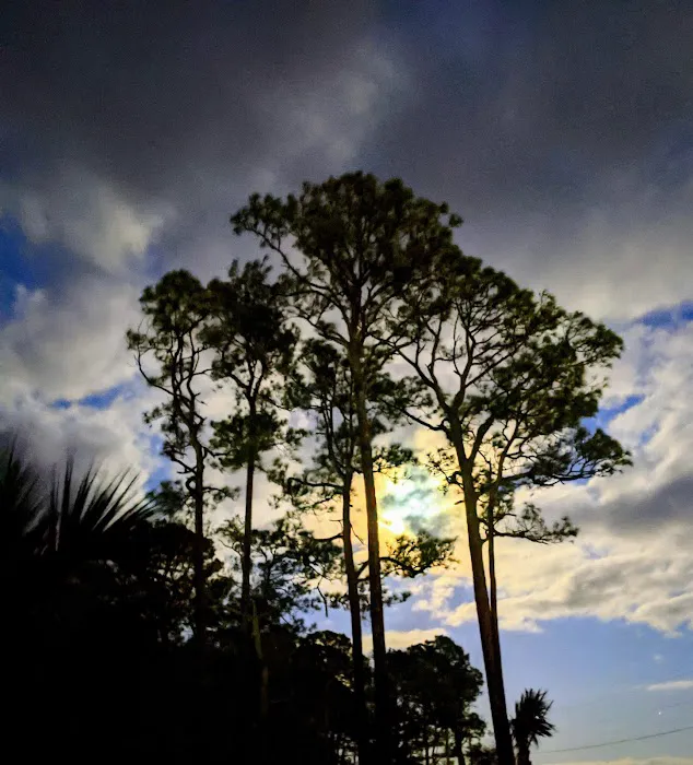 Coastline RV Campground Picture 10