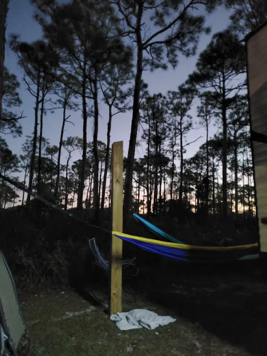 Bayshore Travel Park Picture 4
