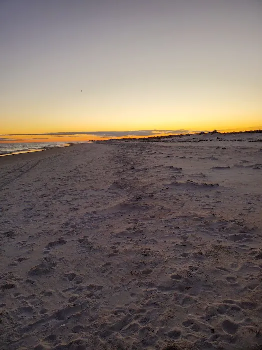 Bayshore Travel Park Picture 6