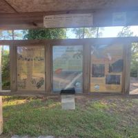 Sugar hill camping area ico
