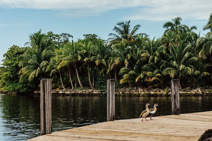 Yacht Haven Park & Marina – South Florida’s Motorcoach & Yachting Resort. Picture 7
