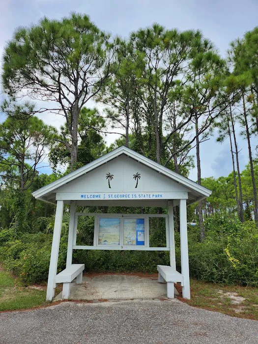 Saint George Island State Campground Picture 8