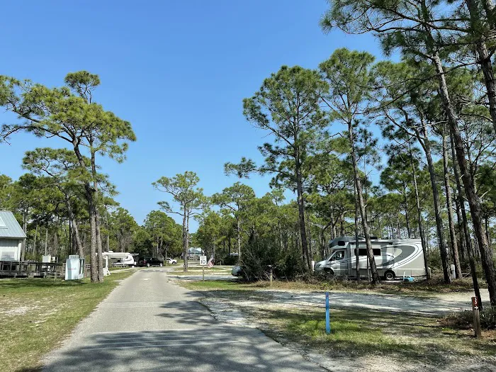 Saint George Island State Campground Picture 1