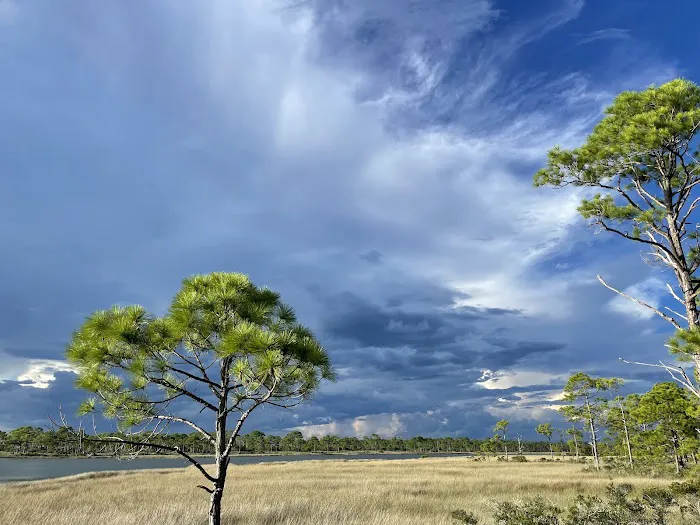 Saint George Island State Campground Picture 6