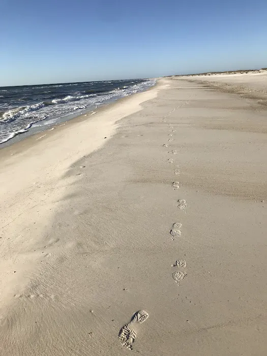 Saint George Island State Campground Picture 2