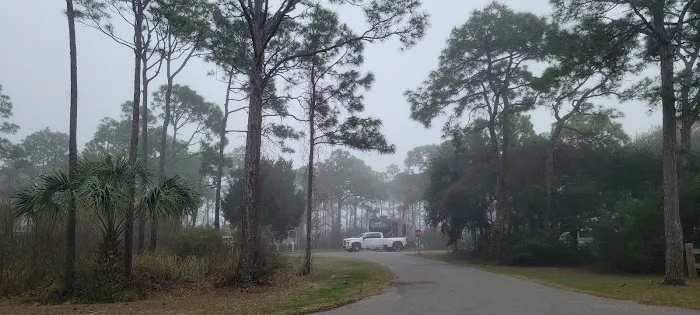 Saint George Island State Campground Picture 4