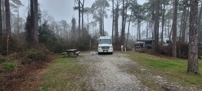 Saint George Island State Campground Picture 5