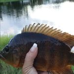 Lauder Lakes Mobile Home Community