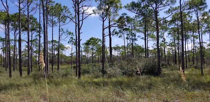 Gap Point Primitive Campsites Picture 5