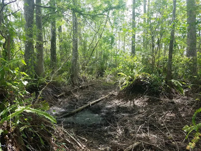 Frog Hammock Camp Picture 3