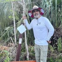 Frog Hammock Camp ico