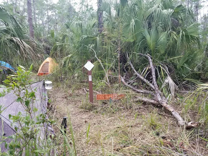 Frog Hammock Camp Picture 5