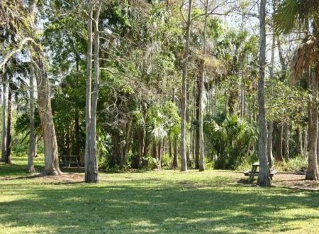 Trail Lakes Campground