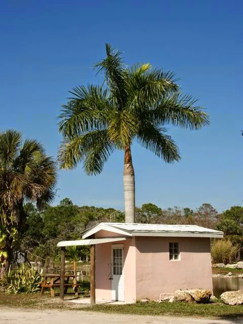Trail Lakes Campground Picture 6