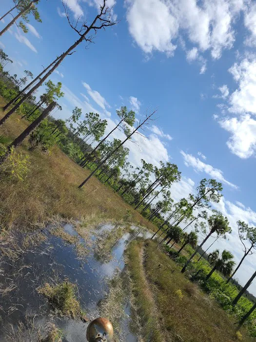 Dona Drive wildlife check station Picture 10