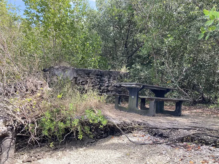 Lopez River Campsite Picture 9