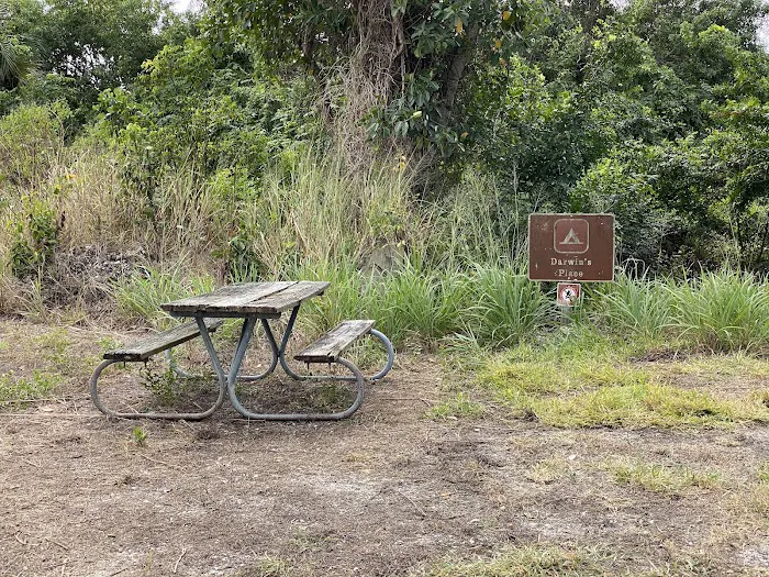 Darwin’s Place Picture 1