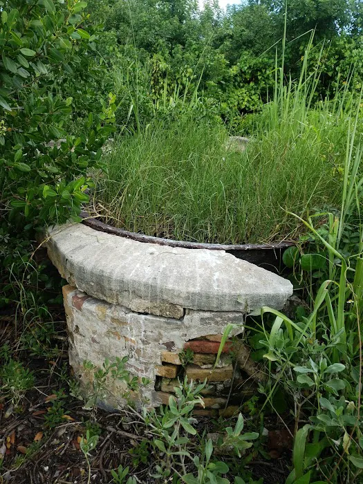 Watson’s Place Picture 8