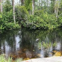 Mitchell Landing Big Cypress National Preserve ico
