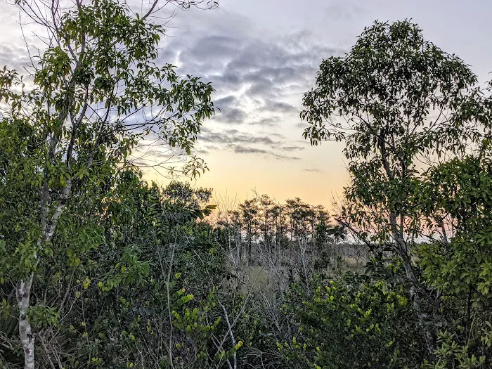 Mitchell Landing Big Cypress National Preserve Picture 2