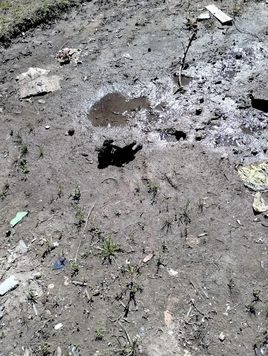 Escondido Village Picture 3