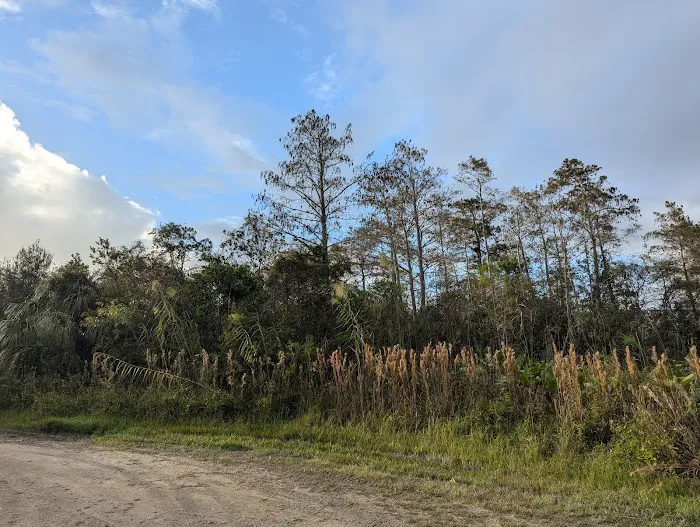 Mitchell Landing Campground Picture 7