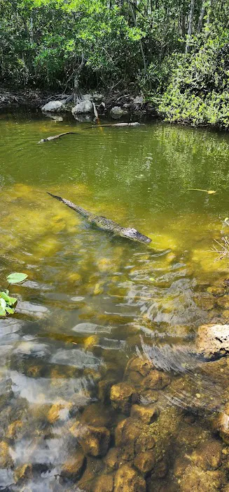 Pinecrest Group Campground, Big Cypress National Preserve Picture 2