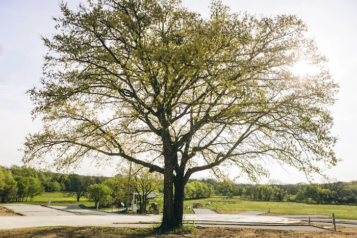 Haven RV Park Picture 4