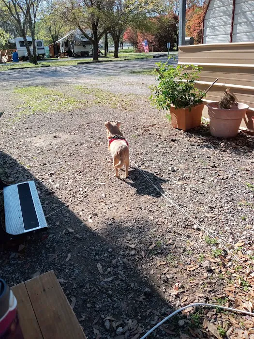 Abc RV Park Picture 5